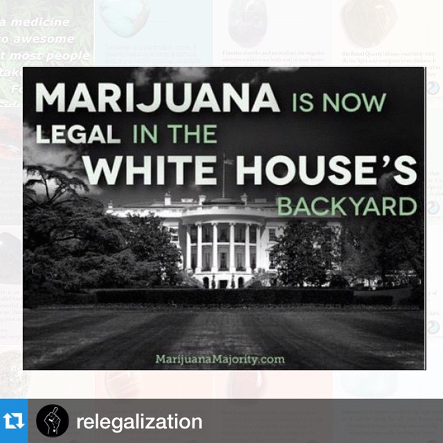 @relegalization ・・・ In just a few minutes, marijuana will be legal in Washington, D.C. Can we just end cannabis prohibition everywhere already?